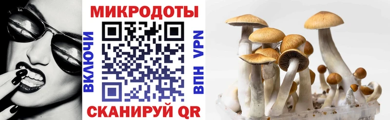 хочу Подпорожье Псилоцибиновые грибы прущие грибы