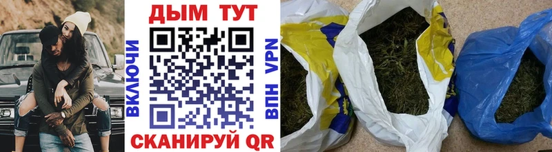 где найти наркотики  МЕГА   Канабис план  Подпорожье 